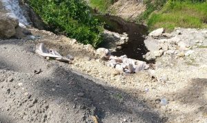 FB_IMG_1771260261566