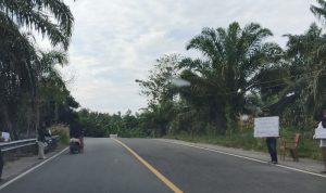 IMG_20260303_033712_886